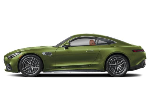 AMG GT