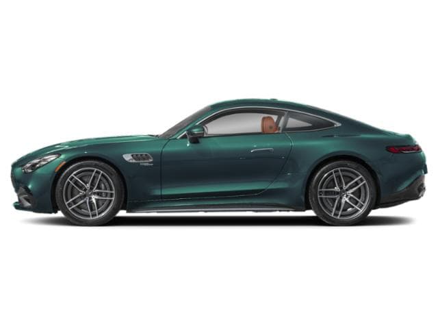 AMG GT