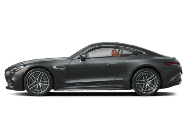 AMG GT