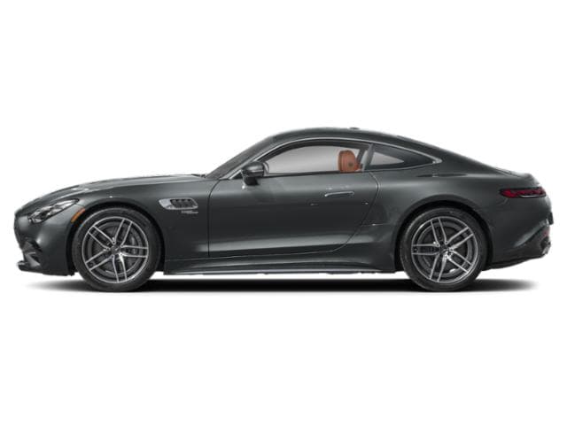 AMG GT