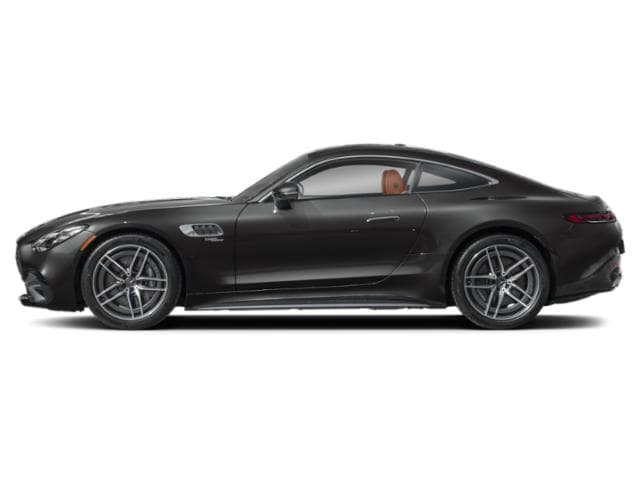 AMG GT