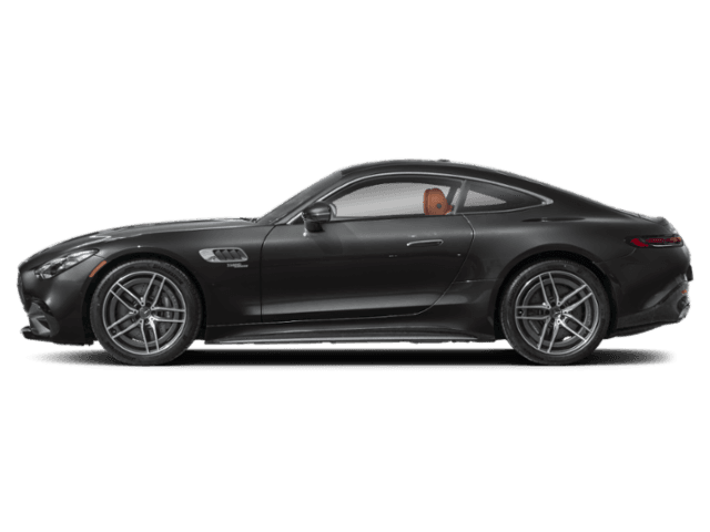 AMG GT