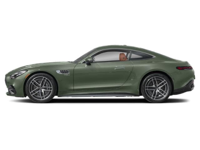 AMG GT