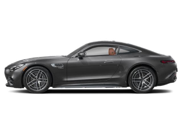 AMG GT
