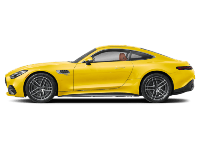 AMG GT