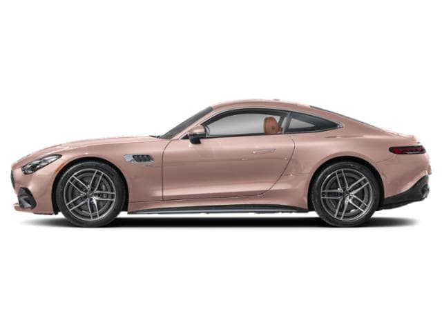 AMG GT