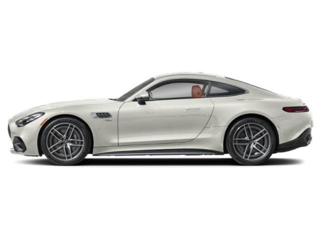 AMG GT