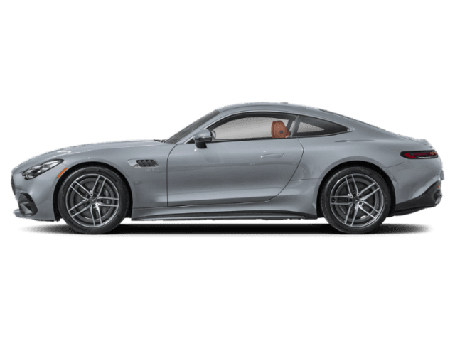 AMG GT
