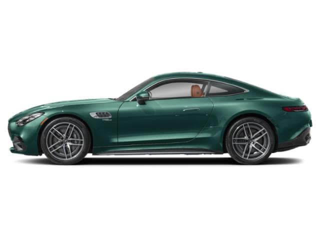 AMG GT