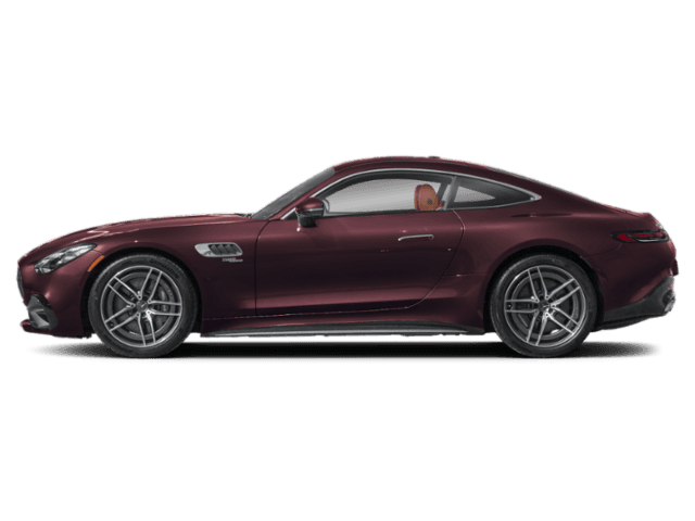 AMG GT