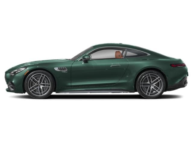 AMG GT