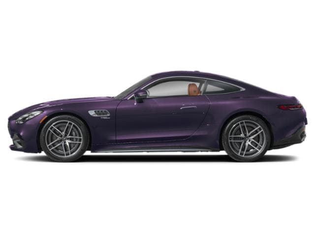 AMG GT