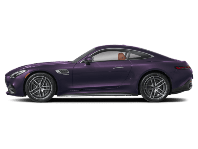 AMG GT