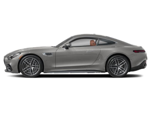 AMG GT